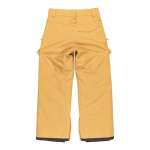 Pantalon de ski enfant DC Shoes Banshee image-1