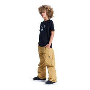 Pantalon de ski enfant DC Shoes Banshee image-4