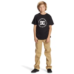 Child's T-shirt DC Shoes Star Pilot image-3