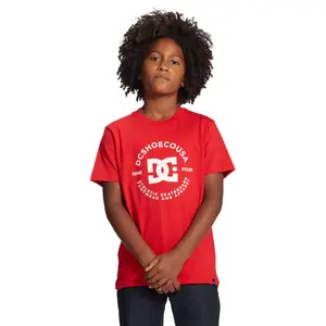 Child's T-shirt DC Shoes Star Pilot image-2