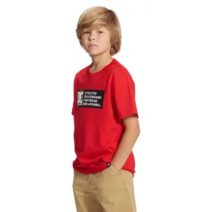 Child's T-shirt DC Shoes Density Zone image-5
