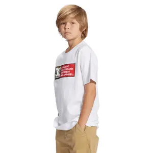 Child's T-shirt DC Shoes Density Zone image-5