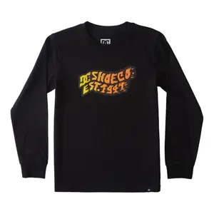 Child's T-shirt DC Shoes Firestorm Ls image-0