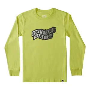 Child's T-shirt DC Shoes Firestorm Ls image-0