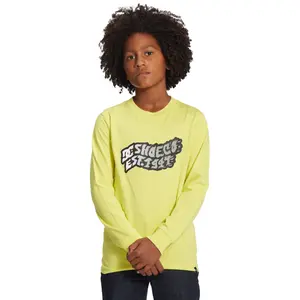 Child's T-shirt DC Shoes Firestorm Ls image-2