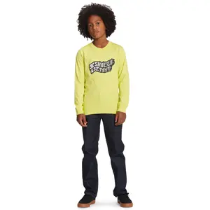 Child's T-shirt DC Shoes Firestorm Ls image-3