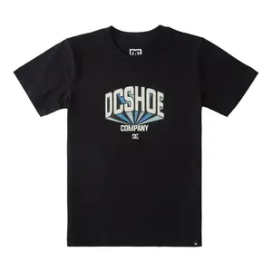 Child's T-shirt DC Shoes Project image-0