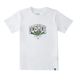 Child's T-shirt DC Shoes Project image-0