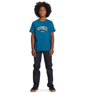 Child's T-shirt DC Shoes Blabac Stacked image-3