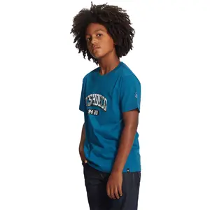 Child's T-shirt DC Shoes Blabac Stacked image-5
