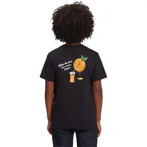 Child's T-shirt DC Shoes Big Squeeze image-4