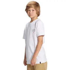 Child's T-shirt DC Shoes Big Squeeze image-5