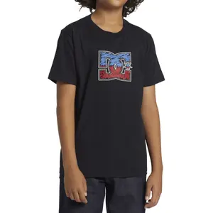 Kid's T-shirt DC Shoes Star Inline image-2