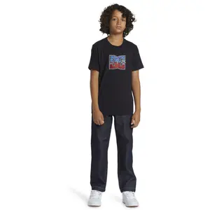 Kid's T-shirt DC Shoes Star Inline image-3