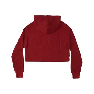 Sweatshirt à capuche crop top femme DC Shoes Old School 2 image-1