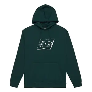 Sweatshirt à capuche DC Shoes Hampden image-0