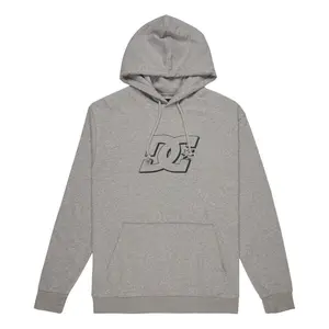 Sweatshirt à capuche DC Shoes Hampden image-0