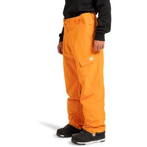 Pantalon de ski DC Shoes Banshee image-2