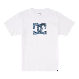 T-shirt DC Shoes Star Fill Hss image-0