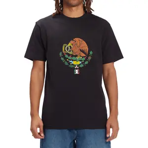 T-shirt DC Shoes Ar Hss S image-1