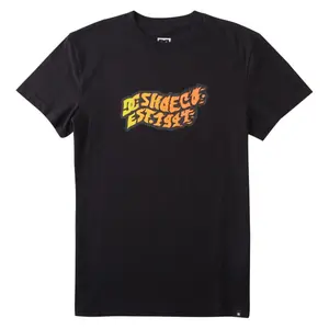 T-shirt DC Shoes Firestorm Tss image-0