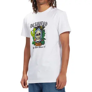 T-shirt DC Shoes Been Here Tss image-5