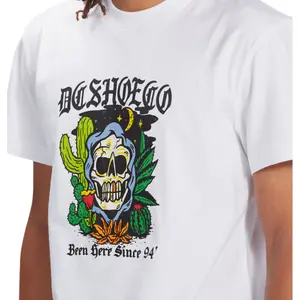 T-shirt DC Shoes Been Here Tss image-6