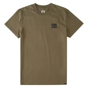 T-shirt DC Shoes Big Problems Tss image-0