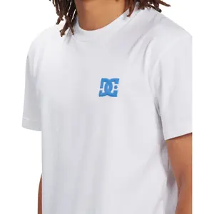 T-shirt DC Shoes Big Problems Tss image-6