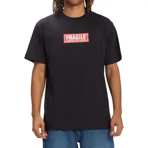 T-shirt DC Shoes Aw Fragile Hss image-1