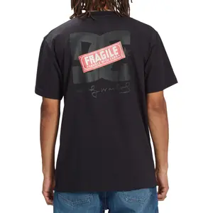 T-shirt DC Shoes Aw Fragile Hss image-4