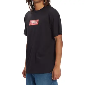 T-shirt DC Shoes Aw Fragile Hss image-5