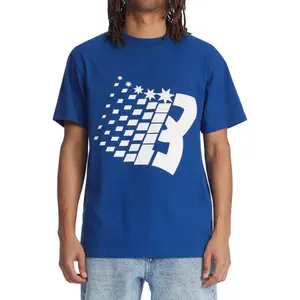 T-shirt DC Shoes Bronze Dc Star Hss image-2