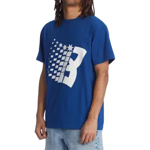 T-shirt DC Shoes Bronze Dc Star Hss image-3