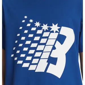 T-shirt DC Shoes Bronze Dc Star Hss image-5