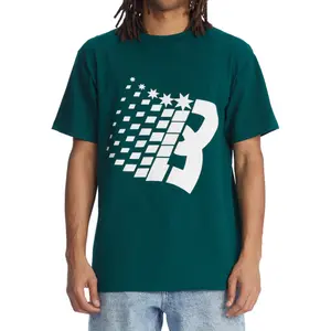 T-shirt DC Shoes Bronze Dc Star Hss image-1