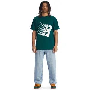 T-shirt DC Shoes Bronze Dc Star Hss image-2
