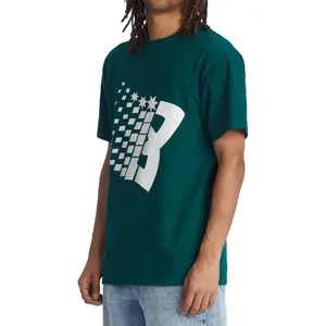 T-shirt DC Shoes Bronze Dc Star Hss image-4