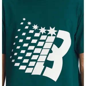 T-shirt DC Shoes Bronze Dc Star Hss image-5
