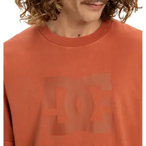 T-shirt DC Shoes Star Pigment Dye image-6