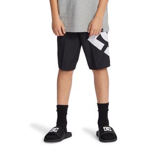 Calções de banho para crianças DC Shoes Lanai 17 image-2