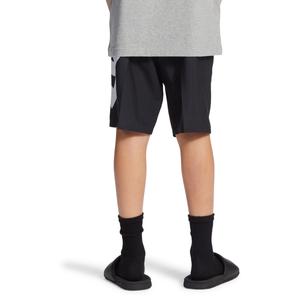 Calções de banho para crianças DC Shoes Lanai 17 image-3