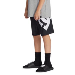 Calções de banho para crianças DC Shoes Lanai 17 image-4