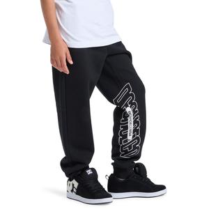 Jogginghose für Kinder DC Shoes Omega image-3