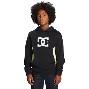 Sweatshirt child DC Shoes Sauland 213 image-2