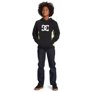 Sweatshirt child DC Shoes Sauland 213 image-3