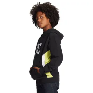 Sweatshirt child DC Shoes Sauland 213 image-5