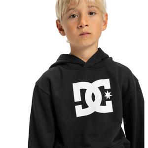 Camisola com capuz para criança DC Shoes Star PH image-2