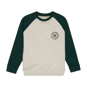 Παιδικό φούτερ DC Shoes Corpo Raglan image-0