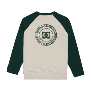 Παιδικό φούτερ DC Shoes Corpo Raglan image-1